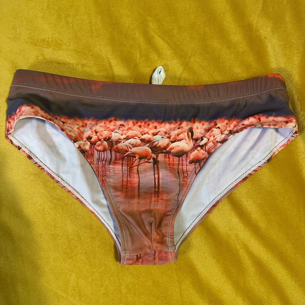 Flamingo swim briefs